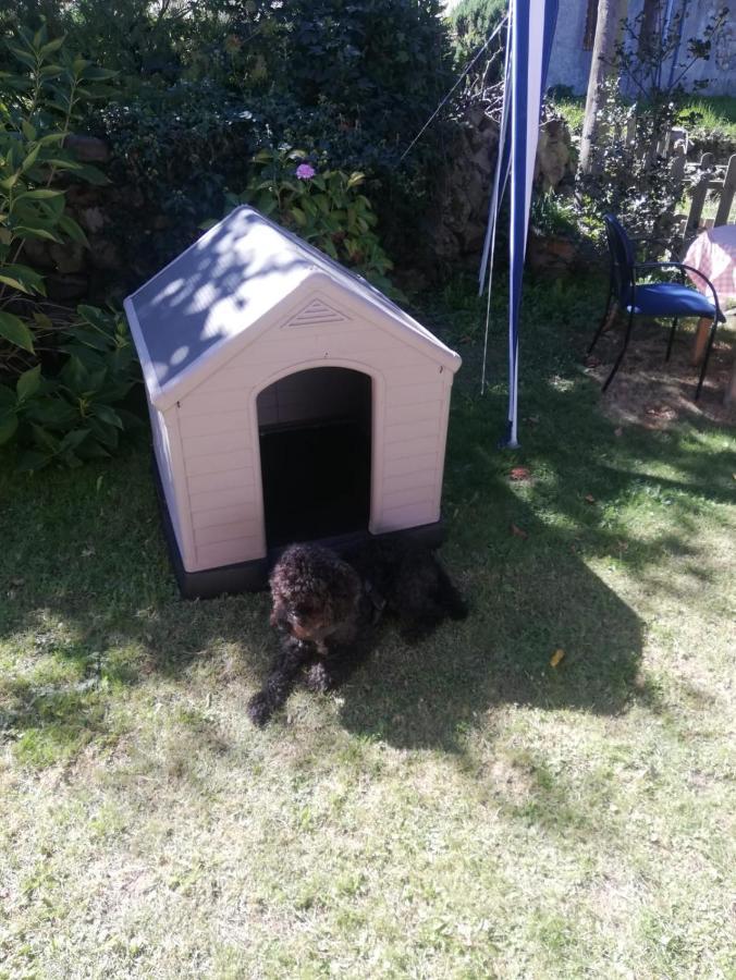 Acogedor Chalet De Tres Habitaciones En El Valle De Cabuerniga, Ideal Familias Grupos Y Mascotas Somos Pet Friendly, Estancia Minima Dos Noches Lamina Dış mekan fotoğraf