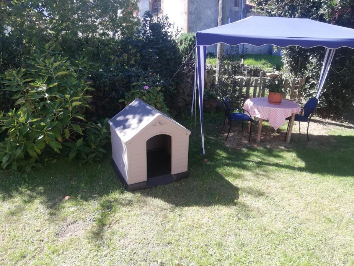 Acogedor Chalet De Tres Habitaciones En El Valle De Cabuerniga, Ideal Familias Grupos Y Mascotas Somos Pet Friendly, Estancia Minima Dos Noches Lamina Dış mekan fotoğraf